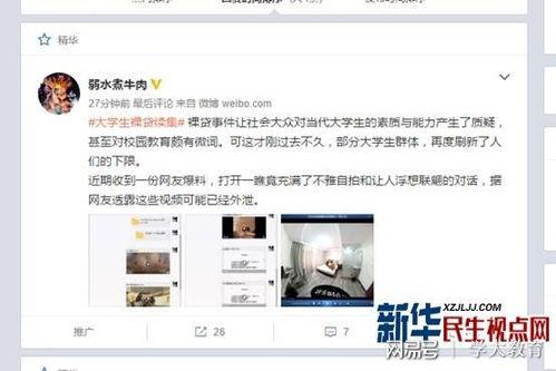 刘先生爆料视频播放大全,揭秘事件真相与幕后黑幕  第2张