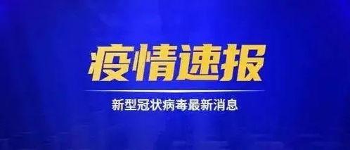 中信集团爆料事件始末视频,揭秘幕后真相与影响  第2张